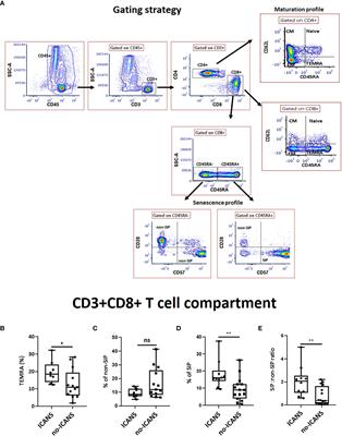 Peripheral blood cellular profile at pre-lymphodepletion is associated with CD19-targeted CAR-T cell-associated neurotoxicity